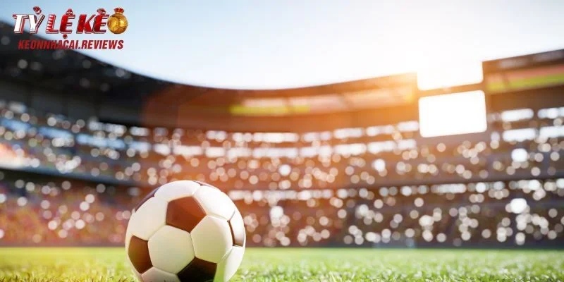 Khám phá tất tần tật về Vũ sport